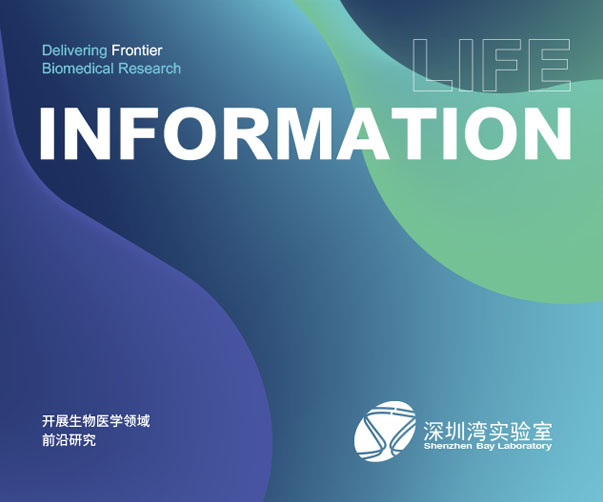 經(jīng)典的中國(guó)Logo設(shè)計(jì)案例分享：中國(guó)結(jié)的聯(lián)通Logo美譽(yù)全國(guó)